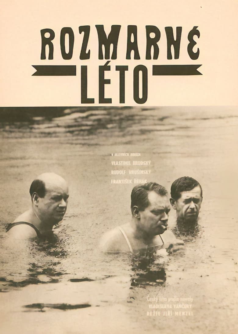 Plakát pro film “Rozmarné léto”