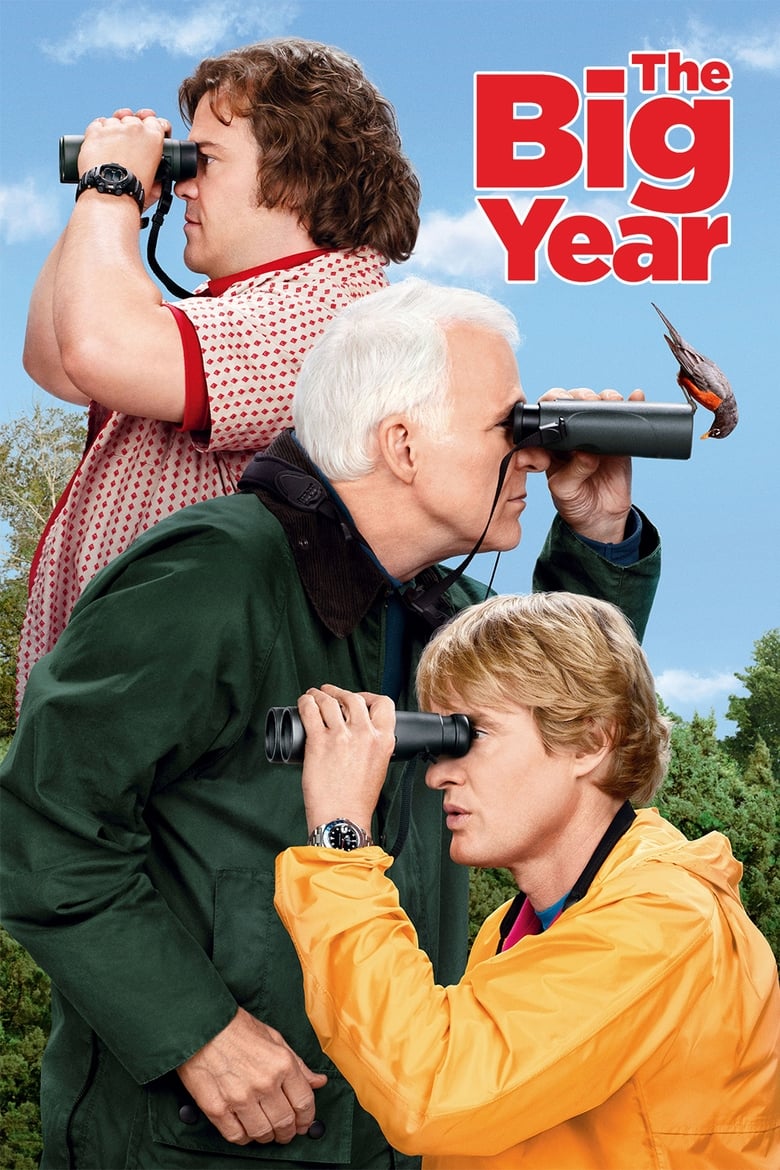 Plakát pro film “Nadějný rok”