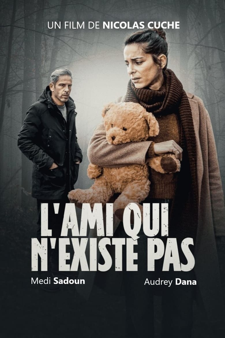 Plakát pro film “L’Ami qui n’existe pas”