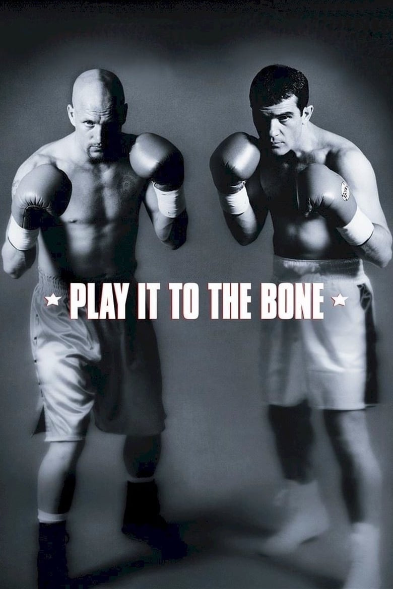Plakát pro film “Boxeři”