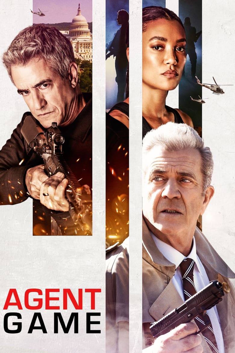 Plakát pro film “Agent Game”