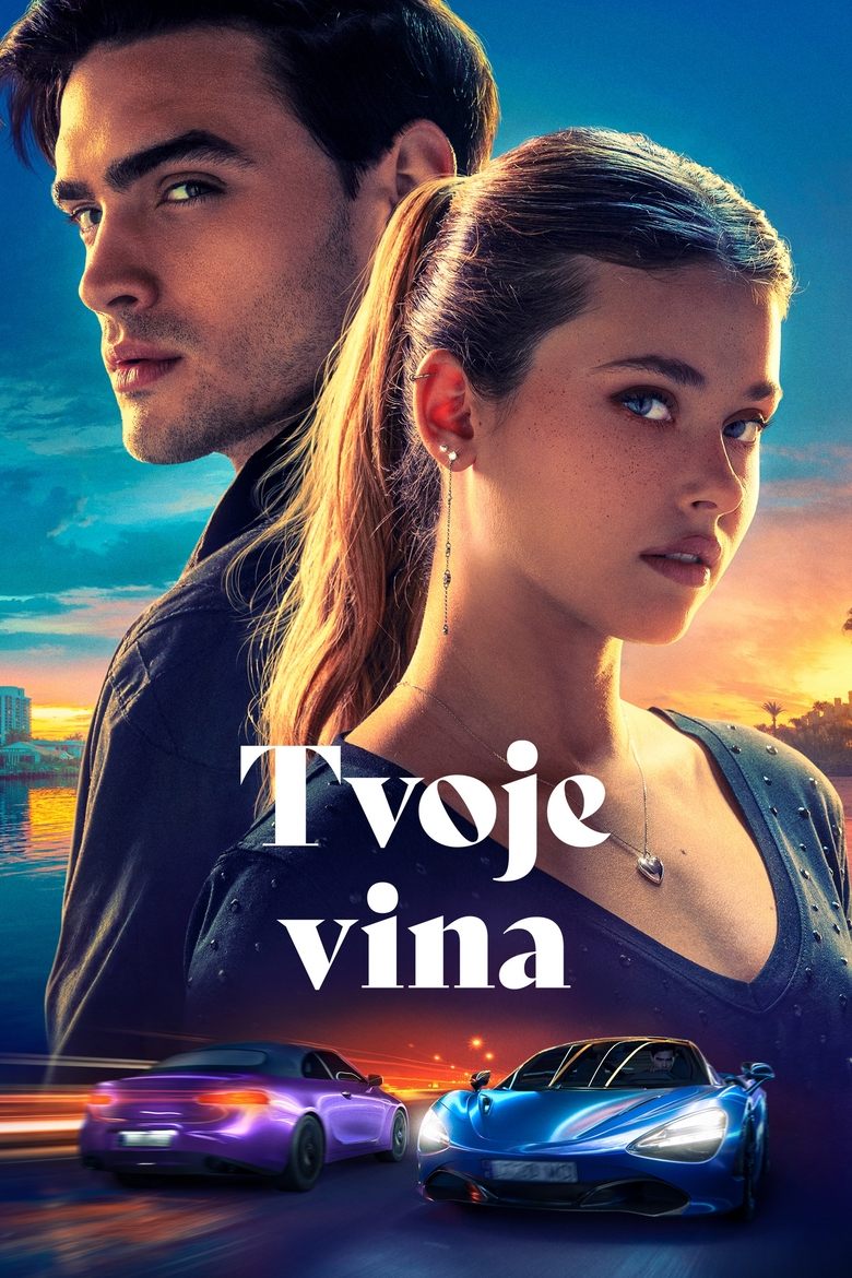 Plakát pro film “Tvoje vina”