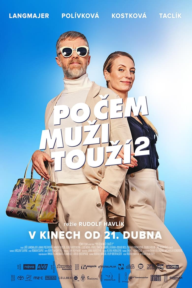 Plakát pro film “Po čem muži touží 2”
