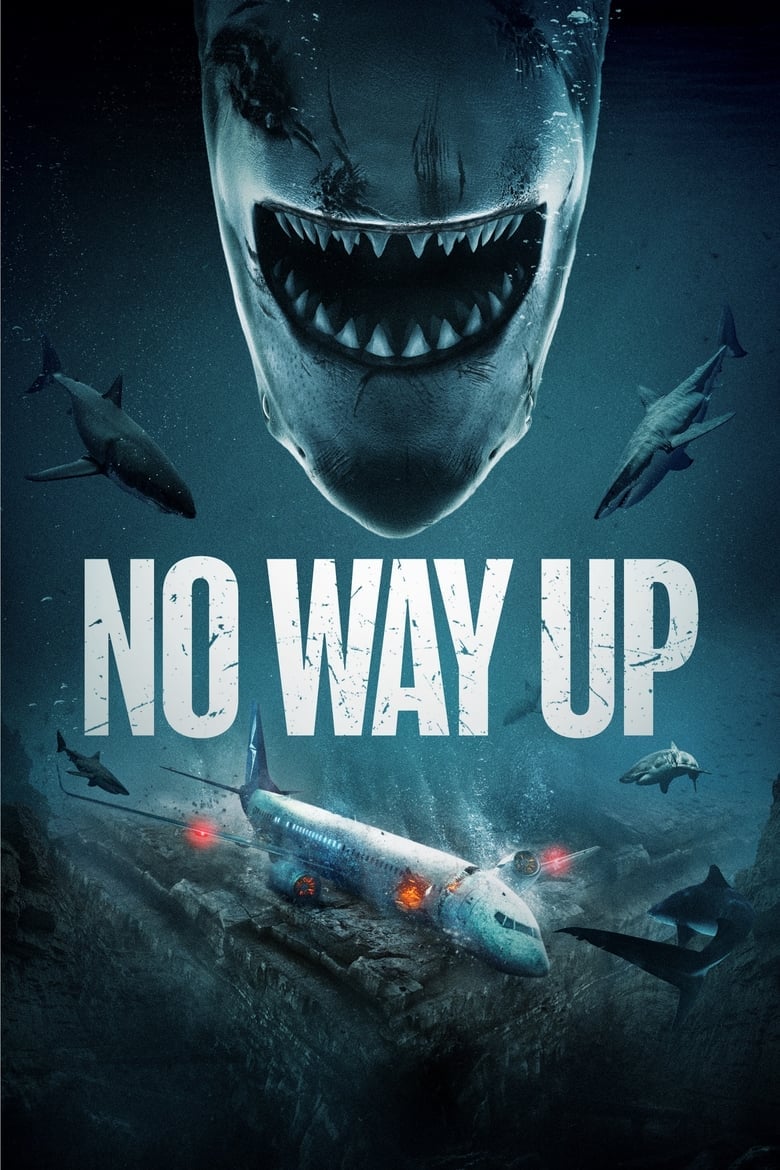Plakát pro film “No Way Up”