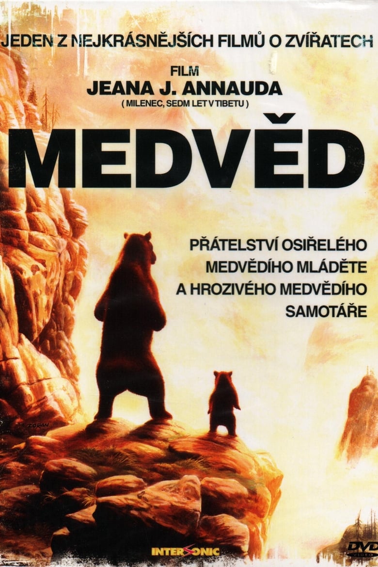 plakát Film Medvěd
