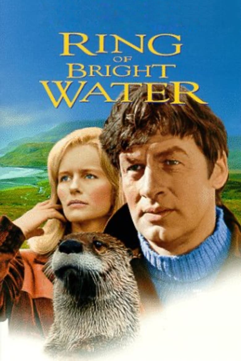 Plakát pro film “Kruhy na vodě”