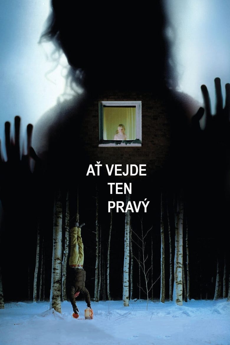 Plakát pro film “Ať vejde ten pravý”