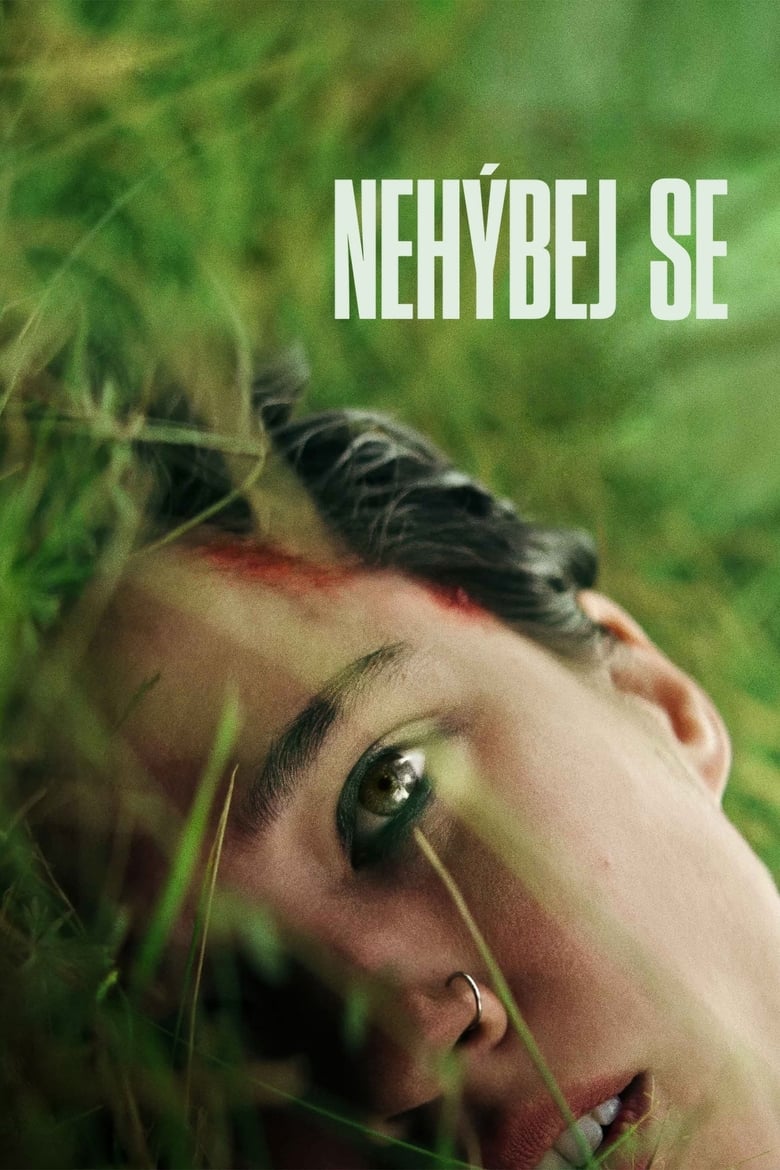 Plakát pro film “Nehýbej se”