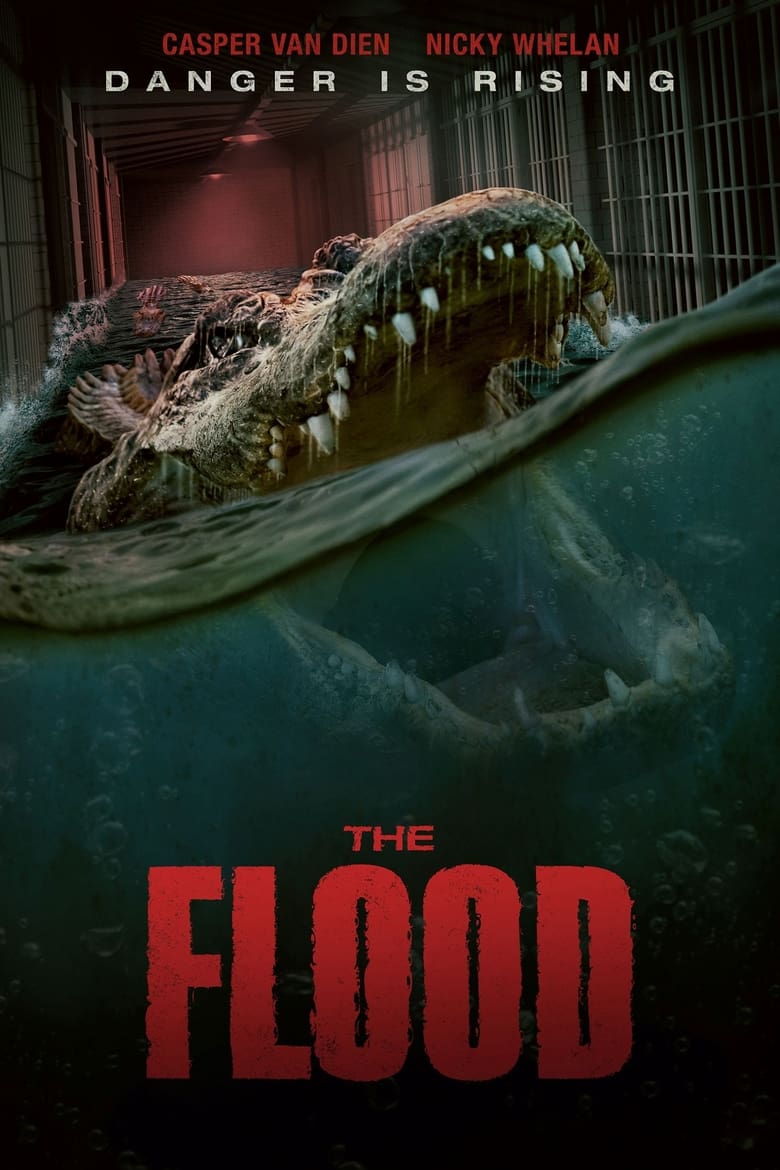 Plakát pro film “The Flood”