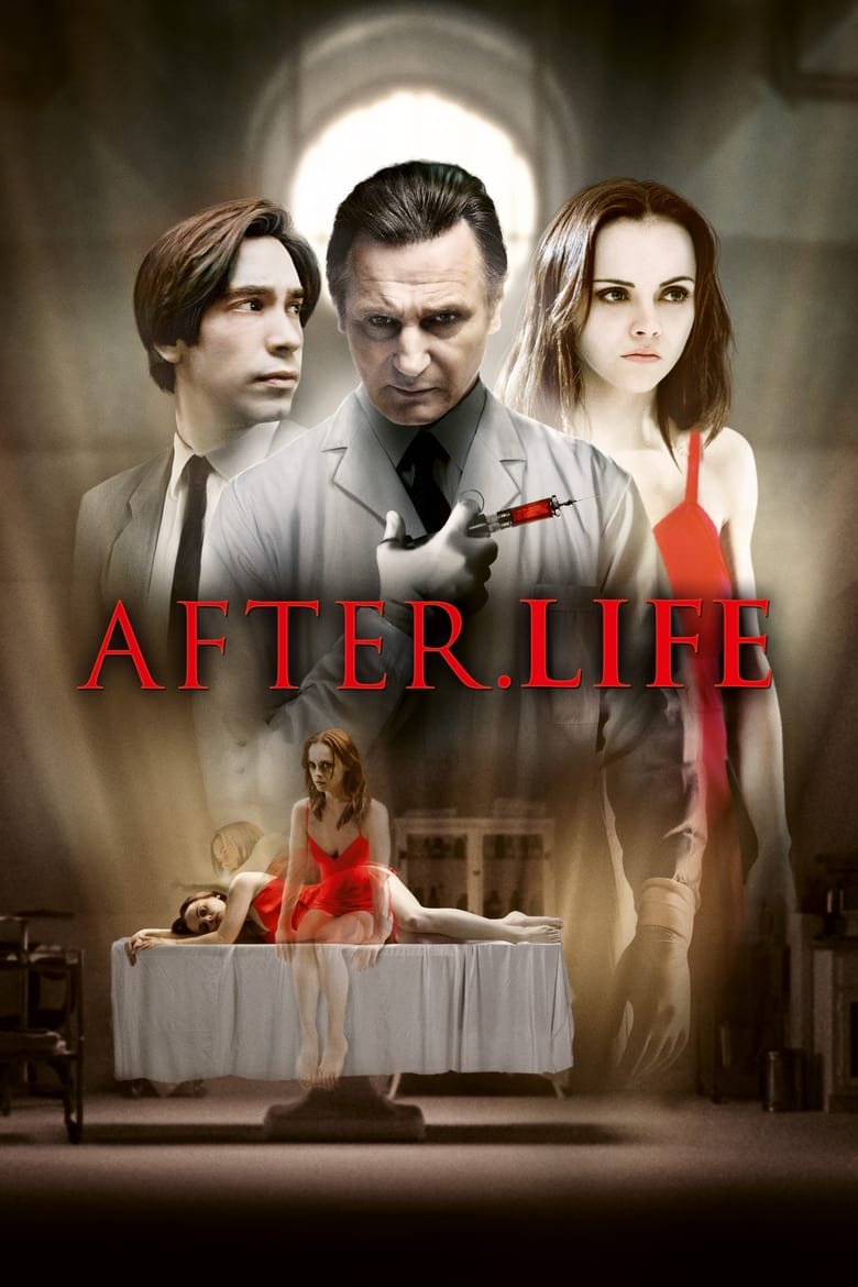 Plakát pro film “Po životě”