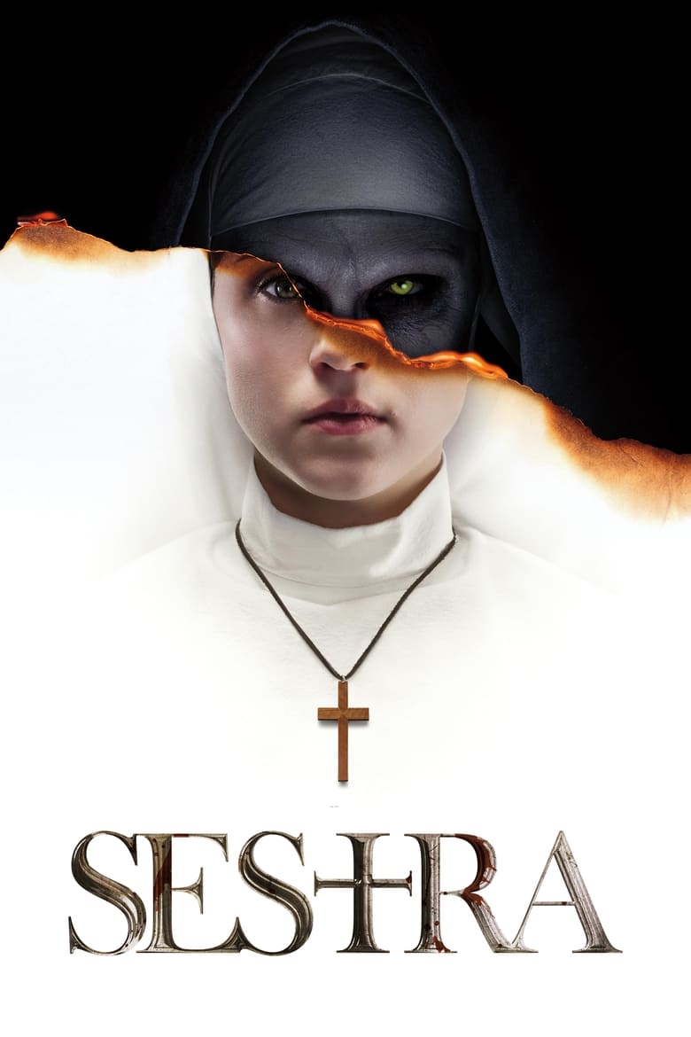 Plakát pro film “Sestra”