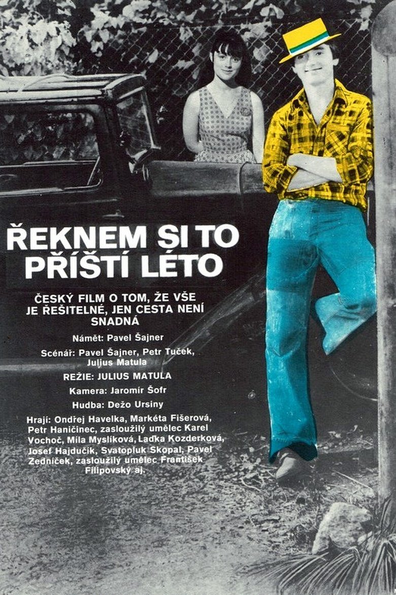 Plakát pro film “Řeknem si to příští léto”