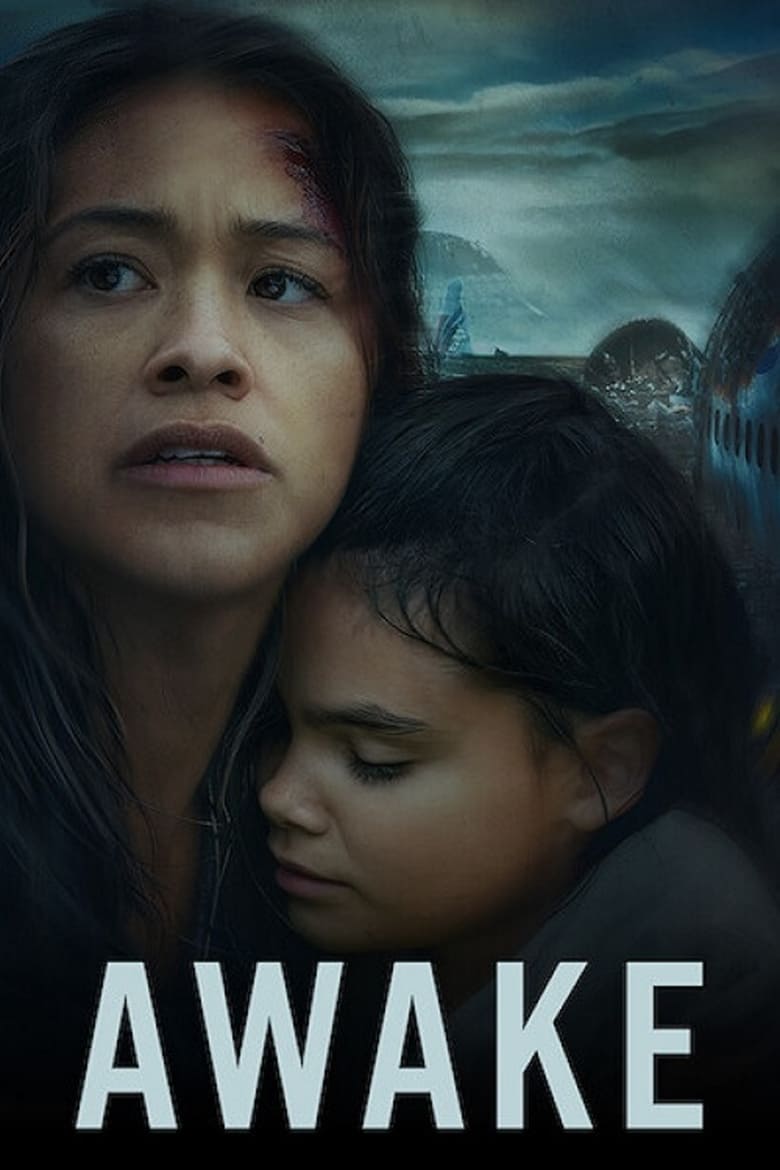 Plakát pro film “Probuzení”