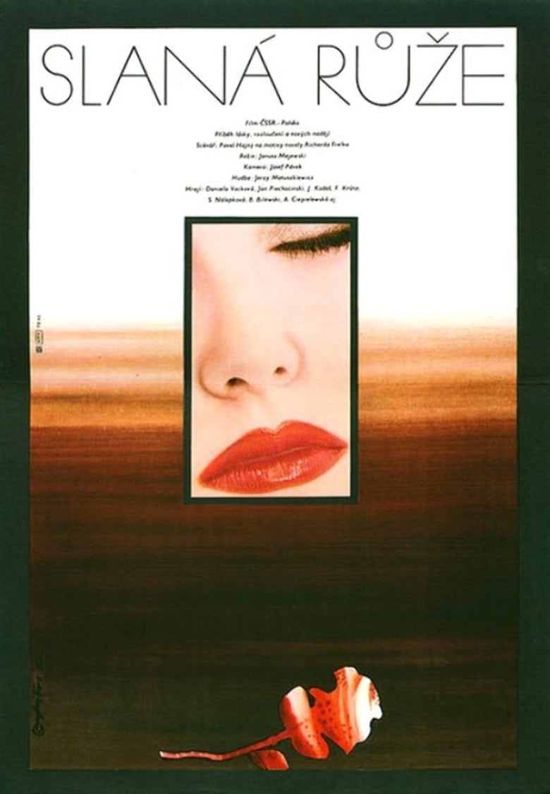 Plakát pro film “Slaná růže”