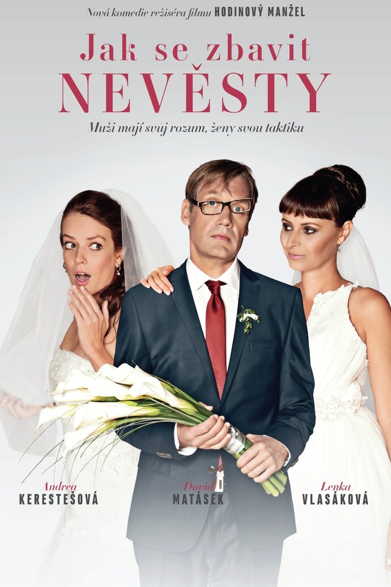 Plakát pro film “Jak se zbavit nevěsty”