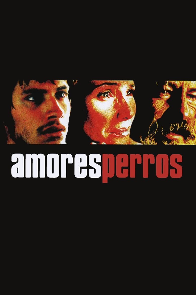Plakát pro film “Amores perros – Láska je kurva”
