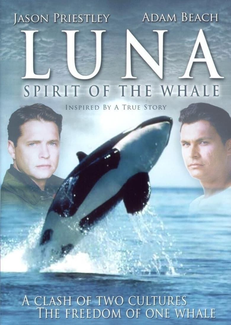 plakát Film Luna