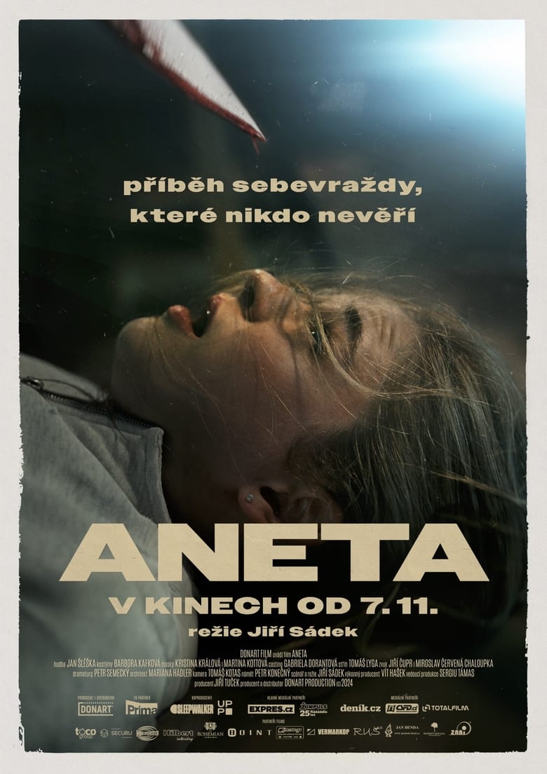 Plakát pro film “Aneta”