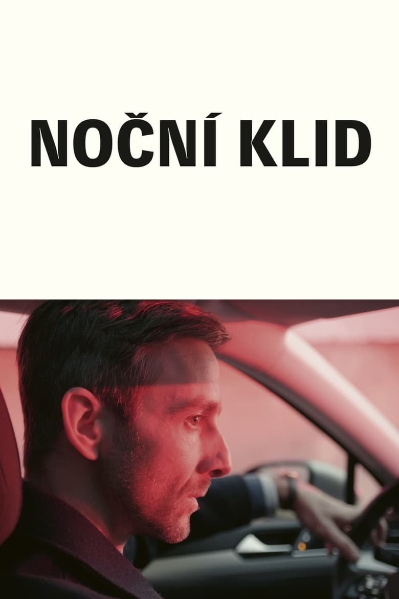 Plakát pro film “Noční klid”