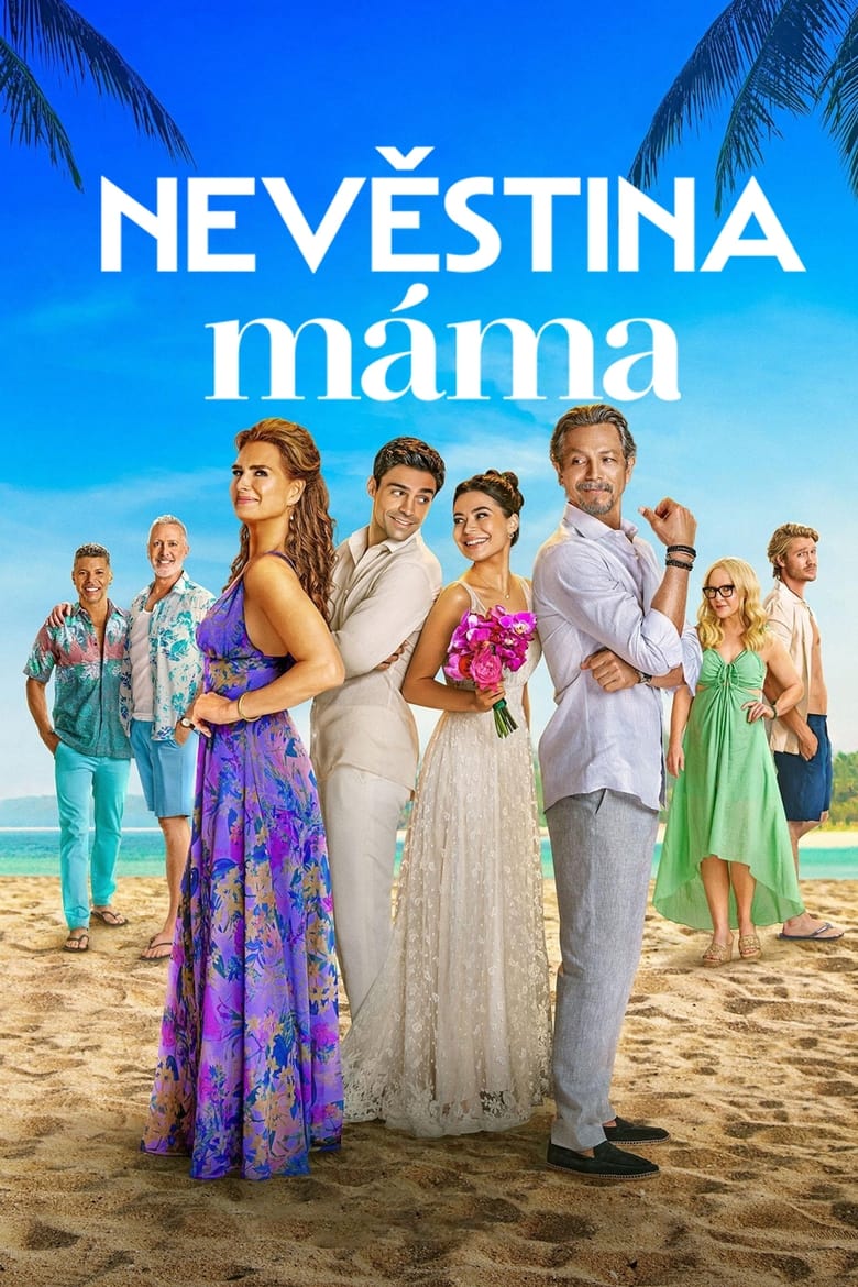 plakát Film Nevěstina máma