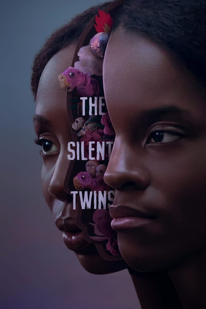 Plakát pro film “Tichá dvojčata”