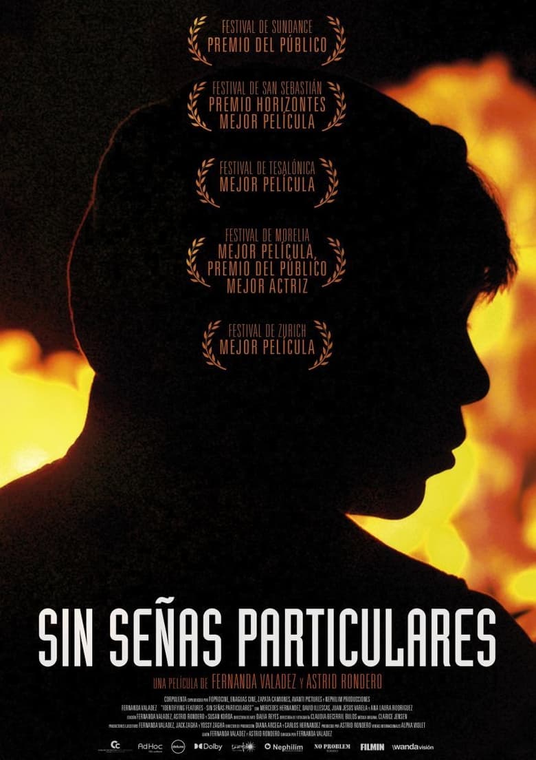 Plakát pro film “Bez zvláštních znamení”