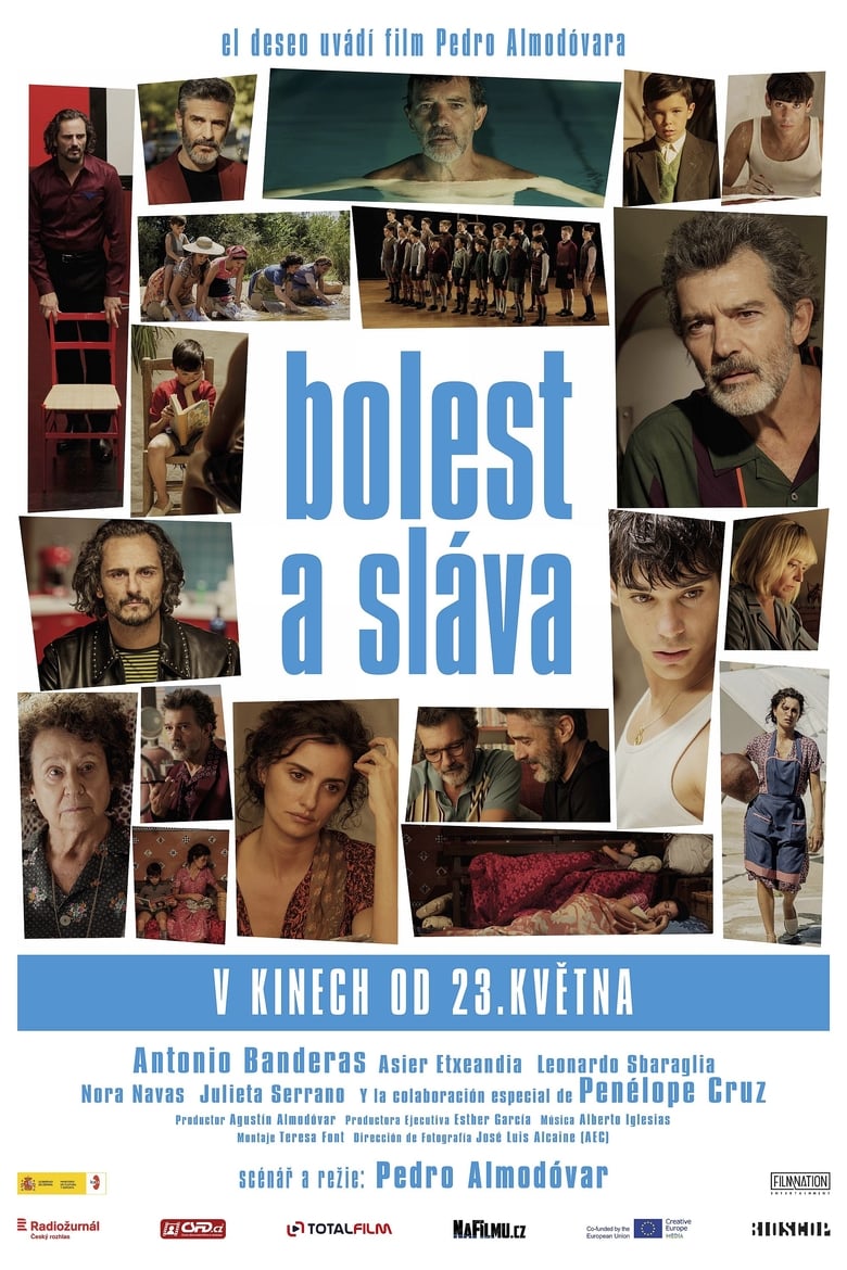 Plakát pro film “Bolest a sláva”