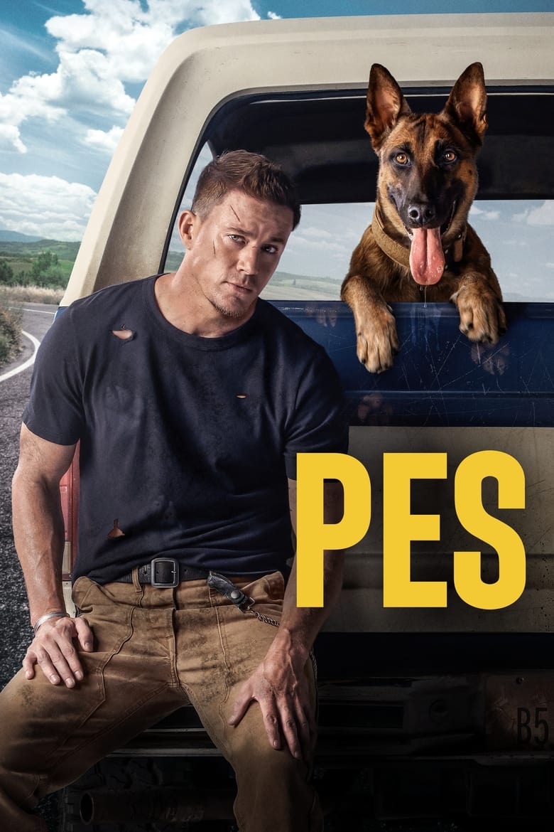 Plakát pro film “Pes”
